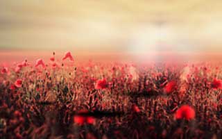 pi: What we know and why it matters